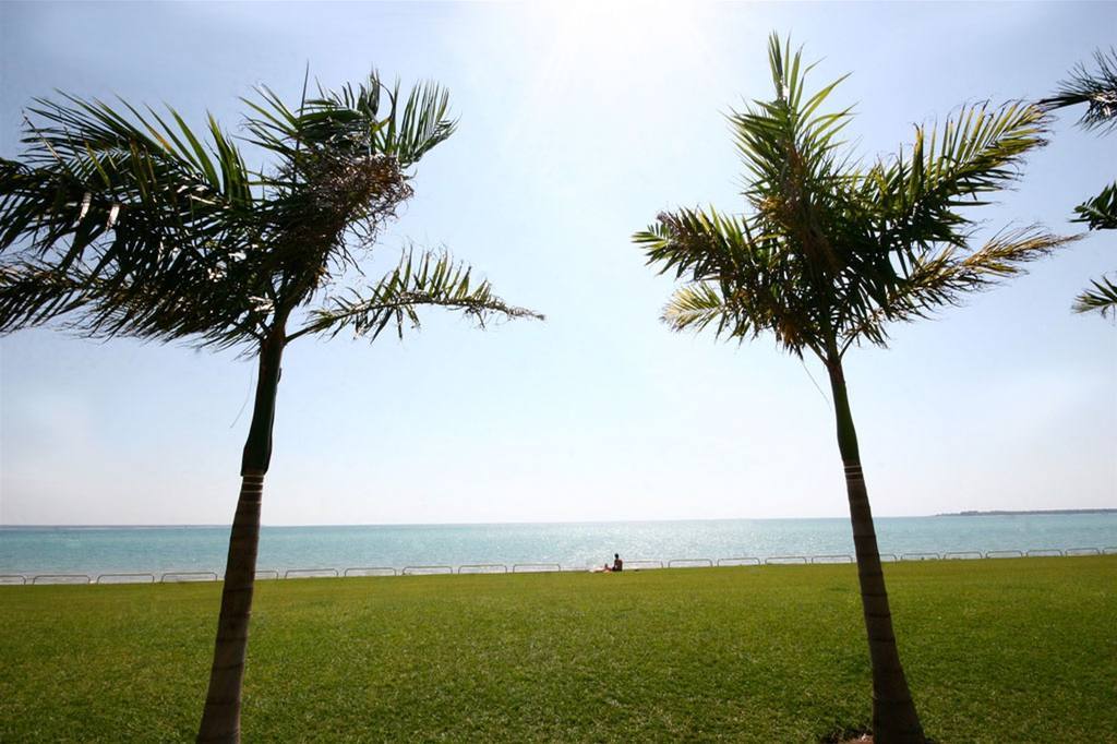 Quality Hotel Darwin Airport Servizi foto Palm trees at the beach